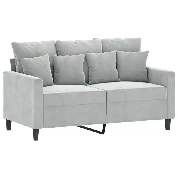 2-jų vietų svetainės sofa