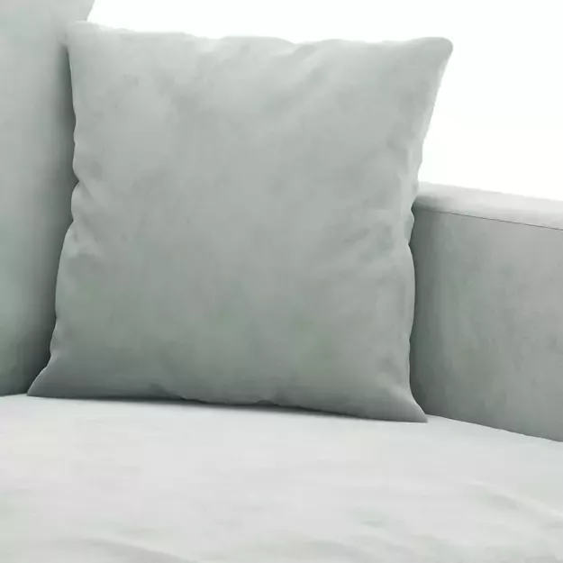 2-jų vietų svetainės sofa